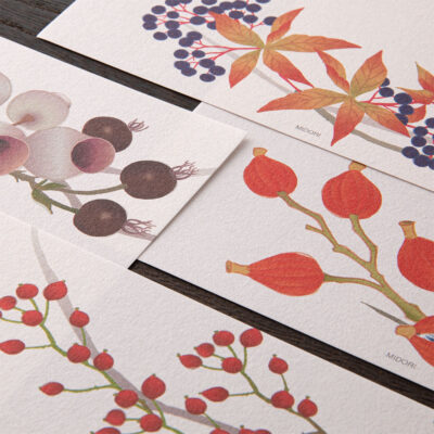 Collection Éphémère Automne N°3