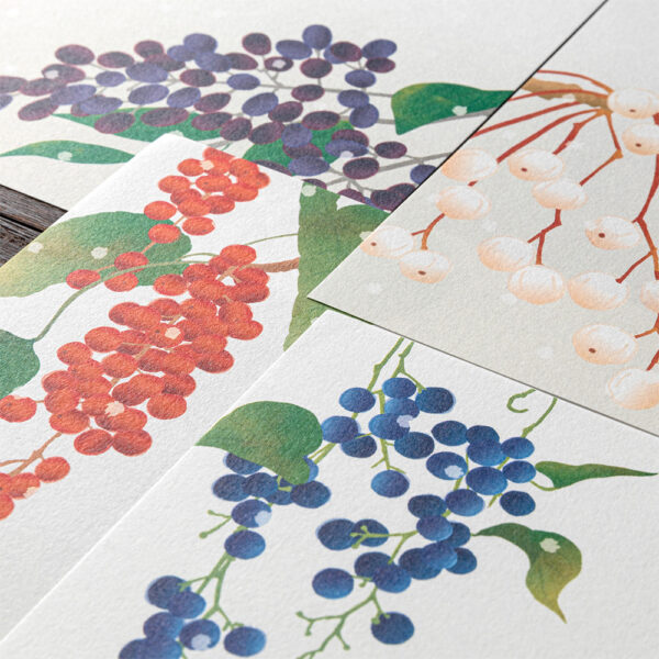 81000006_e 81000006_e