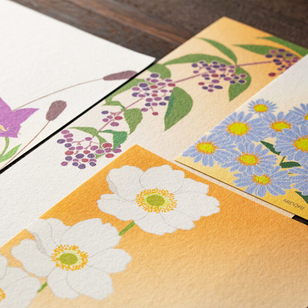 89496006_c 89496006_c